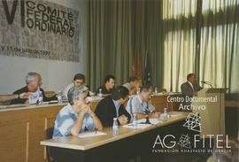 VI Comité Federal Ordinario