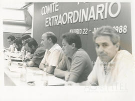 Comité Federal Extraordinario del 22 de julio de 1988 en Madrid