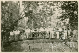 Grupo de jóvenes sobre un puente