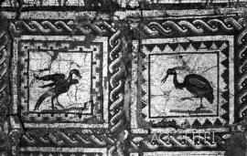 Mosaico procedente del yacimiento de Itálica en Santiponce (Sevilla)