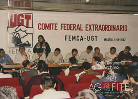 Comité Federal extraordinario de FEMCA-UGT
