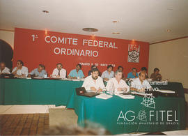 Comité Federal Ordinario