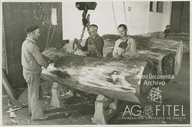 Operario en el proceso de fabricación de tableros en una nave de la fábrica de madera Villarrasa ...